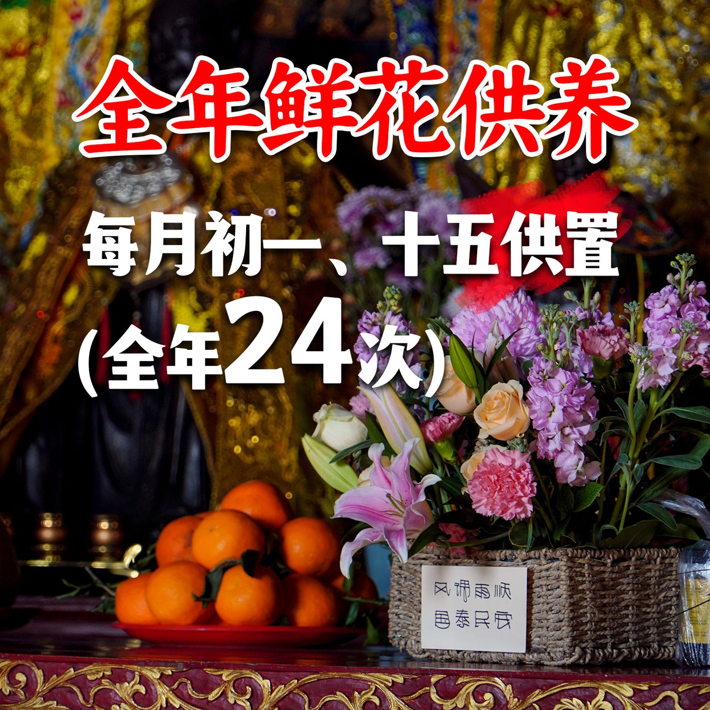 【预定全年】单人一篮供奉